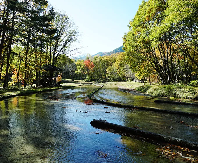 大町 わっぱらんど