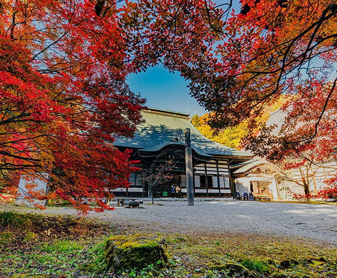 霊松寺 紅葉
