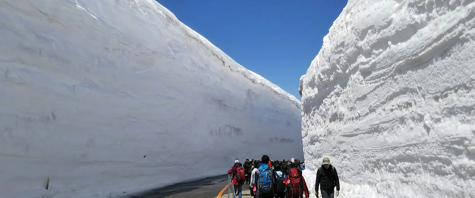 雪の大谷