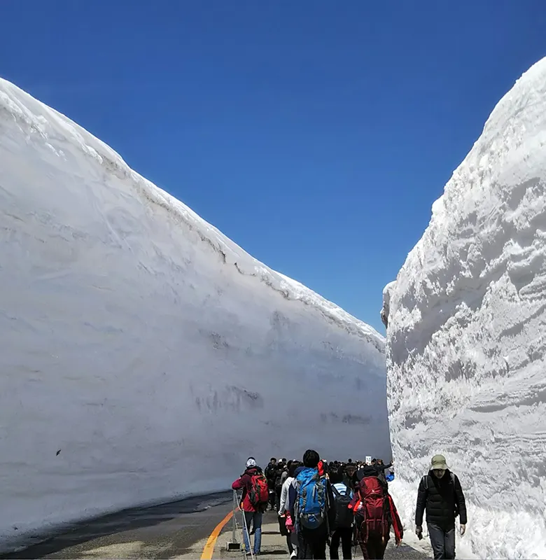 雪の大谷